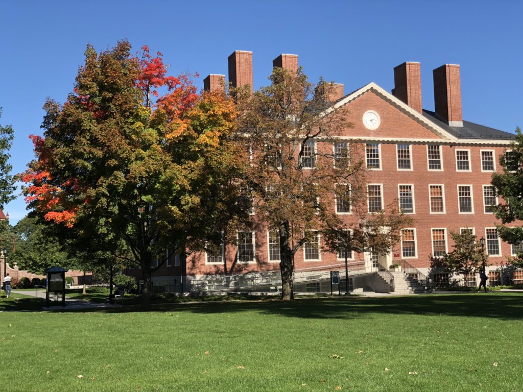 Radcliffe Institute Residency Marta Gentilucci